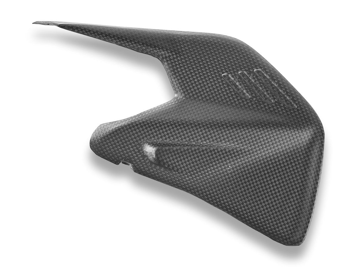 CRB234O - PANIGALE/SF V4 MY25 CARBON SWINGARM PROTECTOR