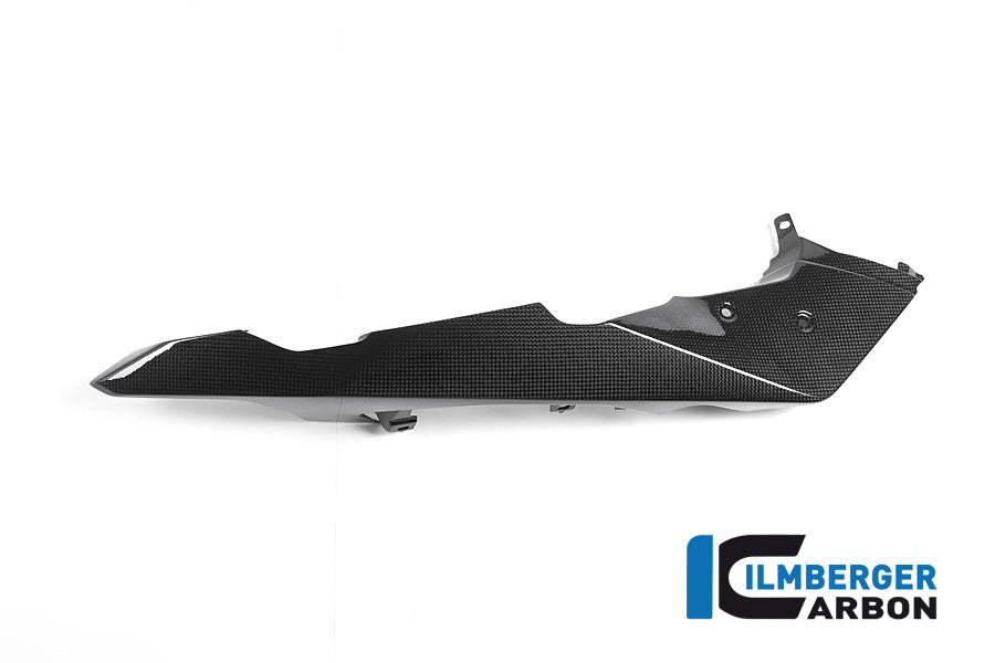 Ilmberger Carbon Front Beak / Upper Fender Left Part