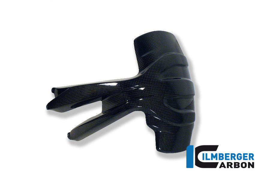 Ilmberger Carbon Splash Guard BMW 1200GS '13