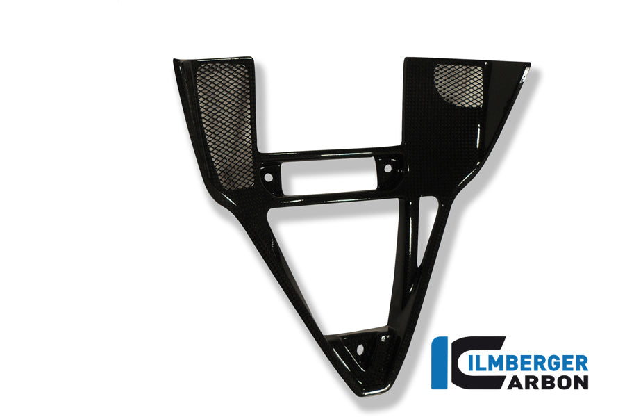 Ilmberger Carbon Fairing Insert Carbon For Ducati 749/999