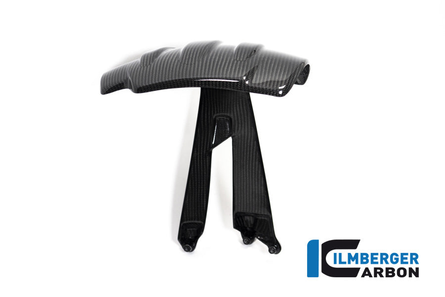 Ilmberger Carbon Rear Splash Guard BMW R 1250 GS From 2019
