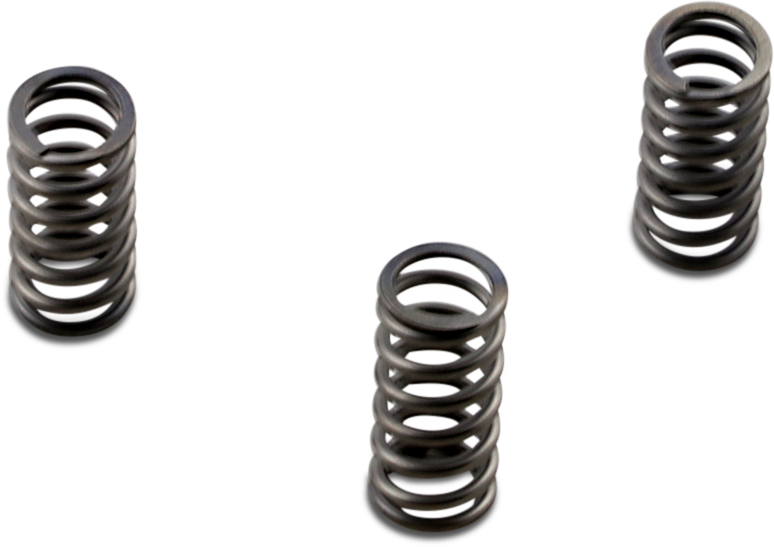 EBC Brakes Clutch Springs - FLH/FLS/FLR
