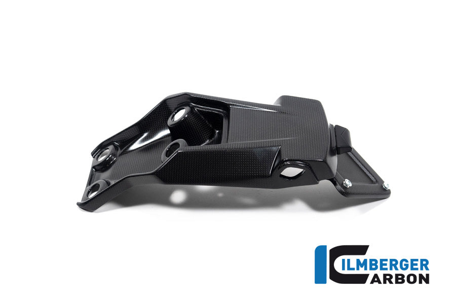 Ilmberger Carbon Numberplate Holder Matt Multistrada V4