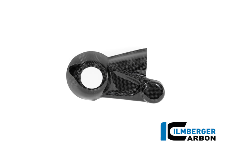 Ilmberger Carbon Drive Shaft Hub Cover BMW R12 NineT - Gloss / Twill