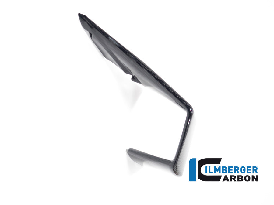 Ilmberger Carbon Winglet Left Side BMW M 1000 RR MY From 2023