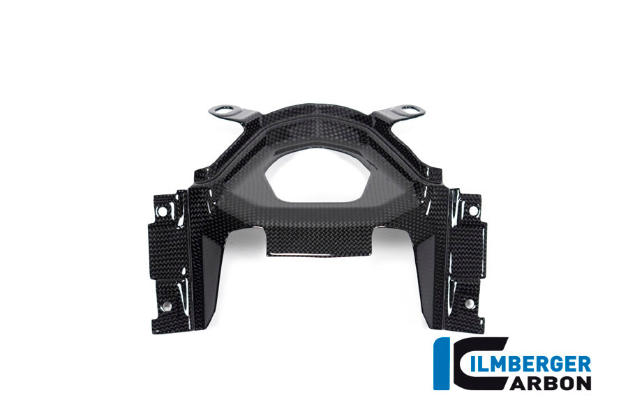 Ilmberger Carbon Ignition Switch Cover Ducati Diavel 1260