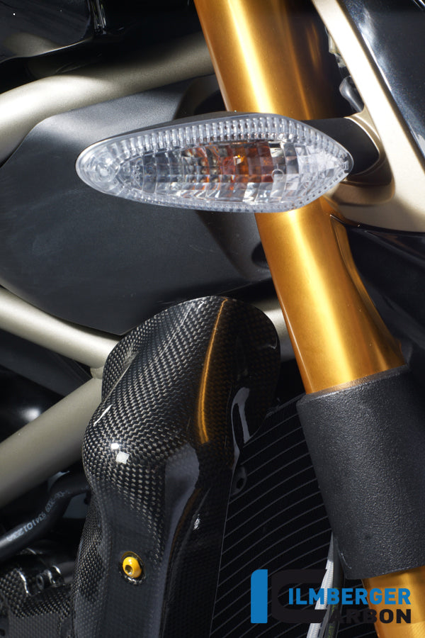 Ilmberger Carbon Water Radiator Cover Right Carbon
