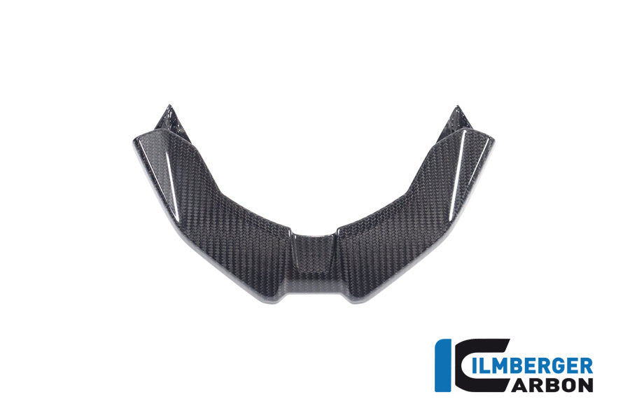 Ilmberger Carbon Front Beak BMW M 1000 XR 2024
