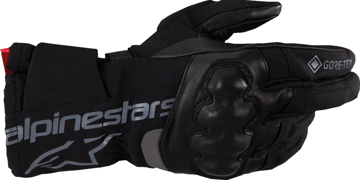 Alpinestars WT-4 Gore-Tex® Insulated Gloves