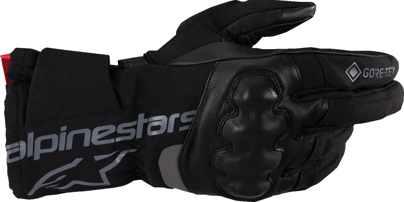 Alpinestars WT-4 Gore-Tex® Insulated Gloves