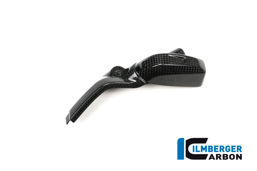 Ilmberger Carbon Injector Cover Left Side Carbon - BMW R 1200 GS (LC) From 2013 To 2015