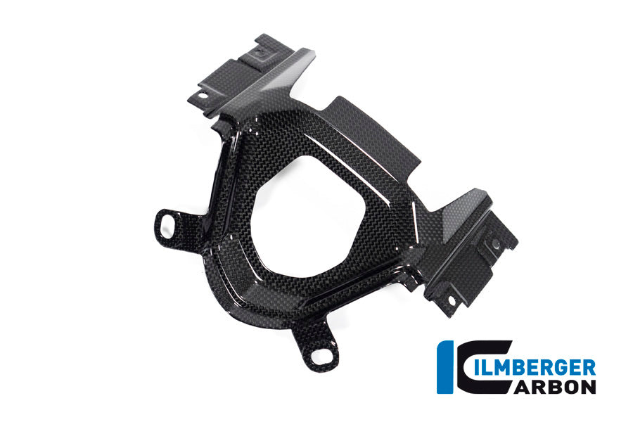 Ilmberger Carbon Ignition Switch Cover Ducati Diavel 1260