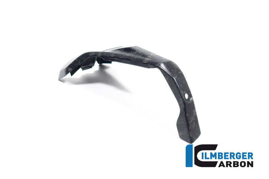 Ilmberger Carbon Spark Plug Access Cover Left BMW R 1300 GS - Matte / Forged
