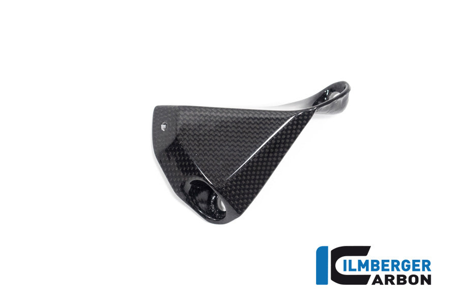 Ilmberger Carbon Belly Pan Left V4 Ducati Streetfighter - Gloss