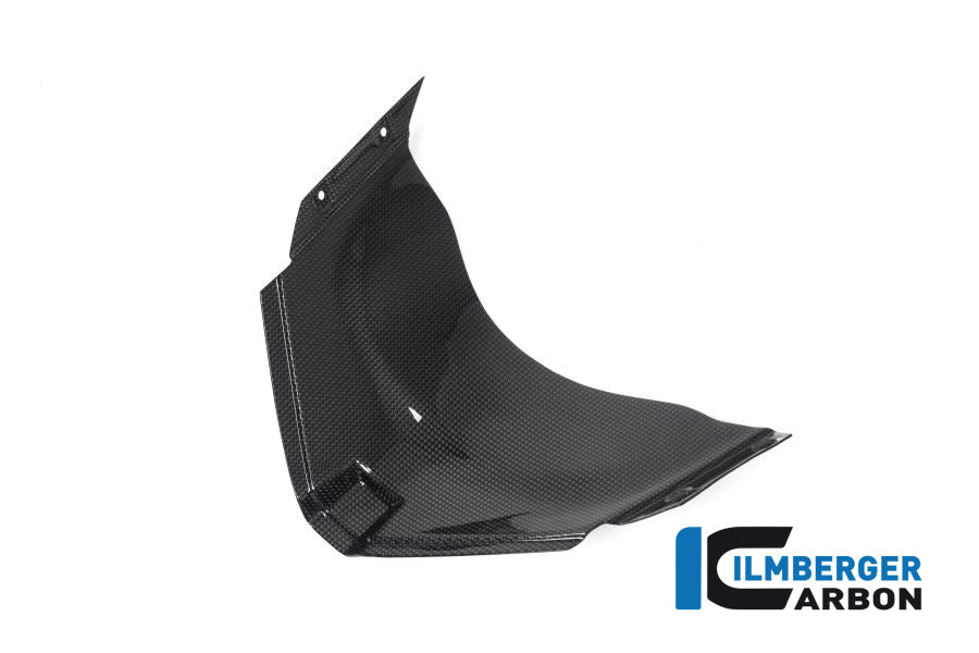 Ilmberger Carbon Panel Under The Front Fairing Ducati Panigale V4 Racing - Gloss