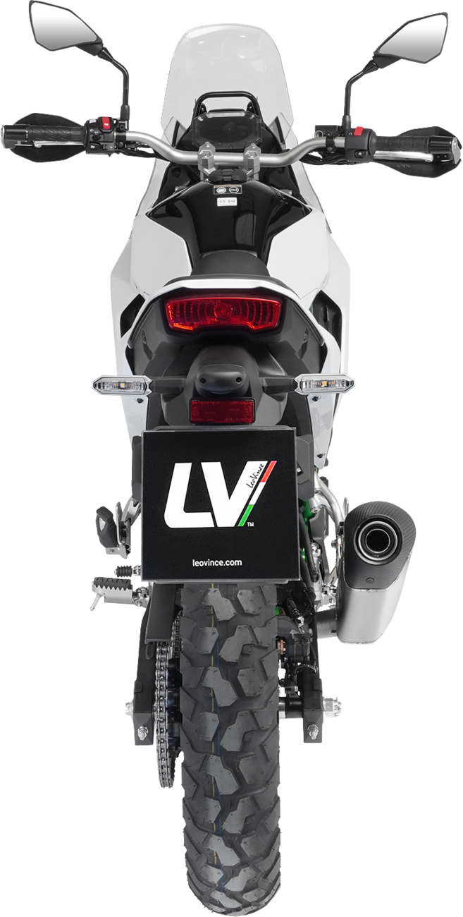 LeoVince LV-14 Slip-On Muffler - Natural