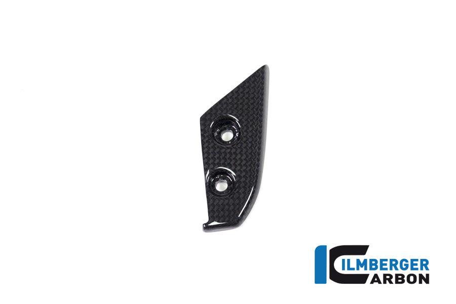 Ilmberger Carbon Instrument Cover Ducati Panigale V4 / V4 S - Gloss
