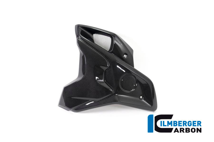 Ilmberger Carbon Airtube Left Incl. Flap (2 Pieces) BMW R 1250 GS