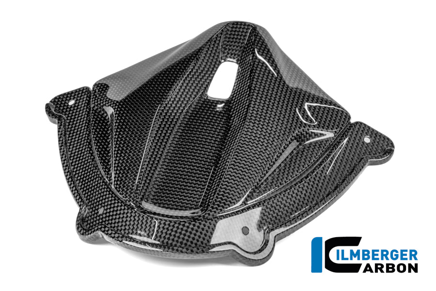 Ilmberger Carbon Instrument Cluster Cover Ducati Panigale V4 2025-2026 - Gloss / Plain