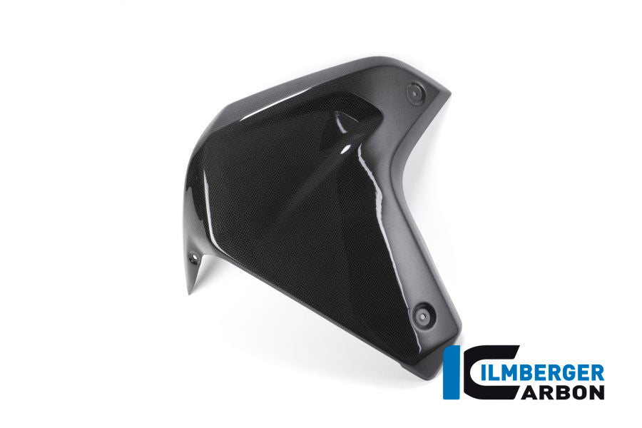 Ilmberger Carbon Side Fairing Rightside Ducati MTS 1200 2016 Enduro