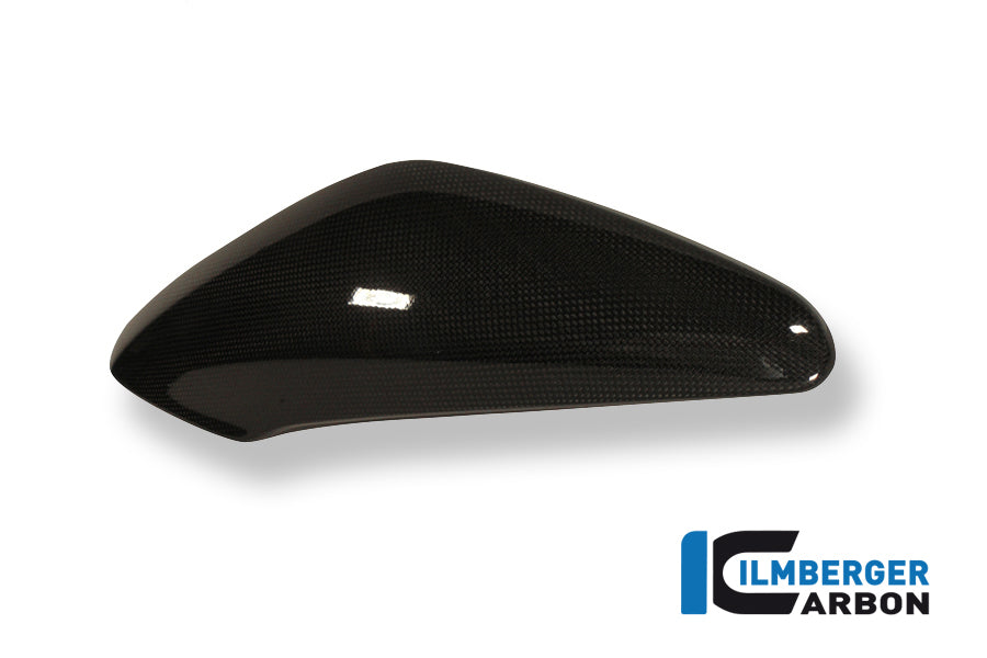 Ilmberger Carbon Side Cover Above The Radiator Right Carbon