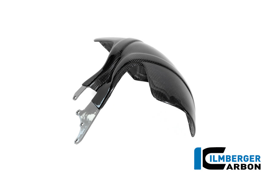 Ilmberger Carbon Rear Hugger BMW R12 NineT - Gloss / Twill