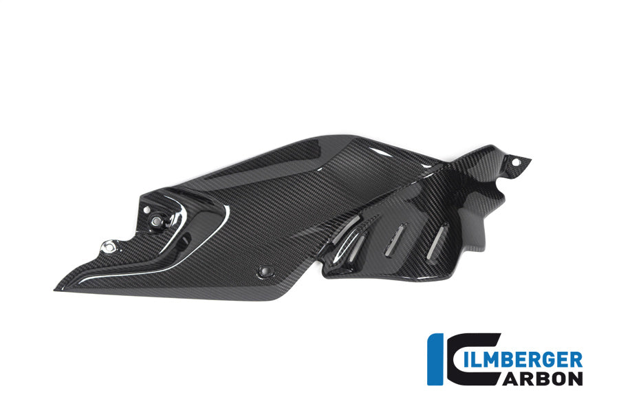 Ilmberger Carbon Side Panel Under The Tank Right BMW R 1250 R
