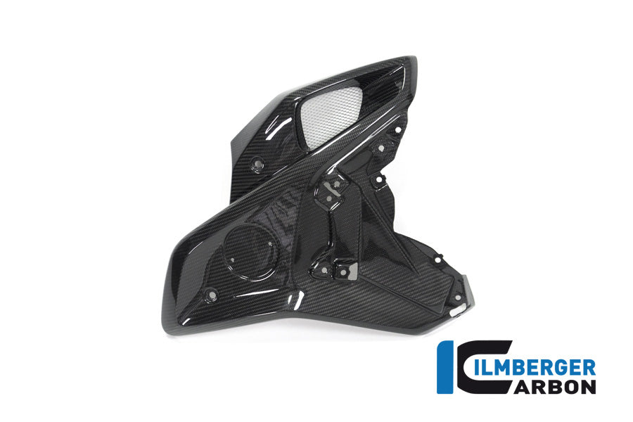 Ilmberger Carbon Airtube Right Side (For Orig. Stainless Steel Deflector) BMW R 1250 GS