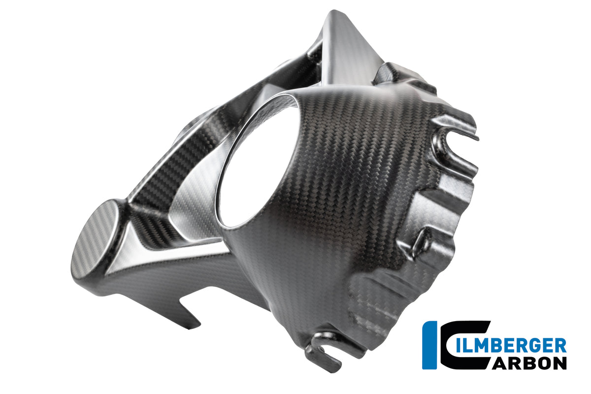 Ilmberger Carbon Tank Cover Top Carbon Glossy BMW R 1300 R