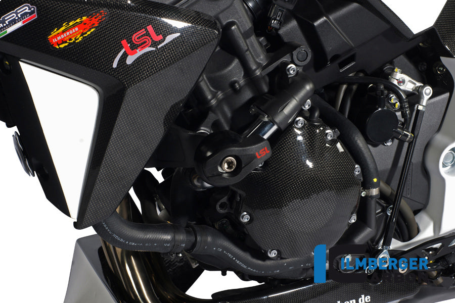 Ilmberger Carbon Alternator Cover Carbon