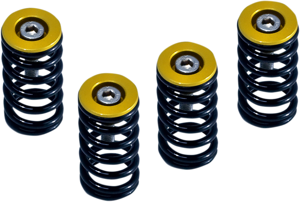 Barnett Clutch Spring Kit