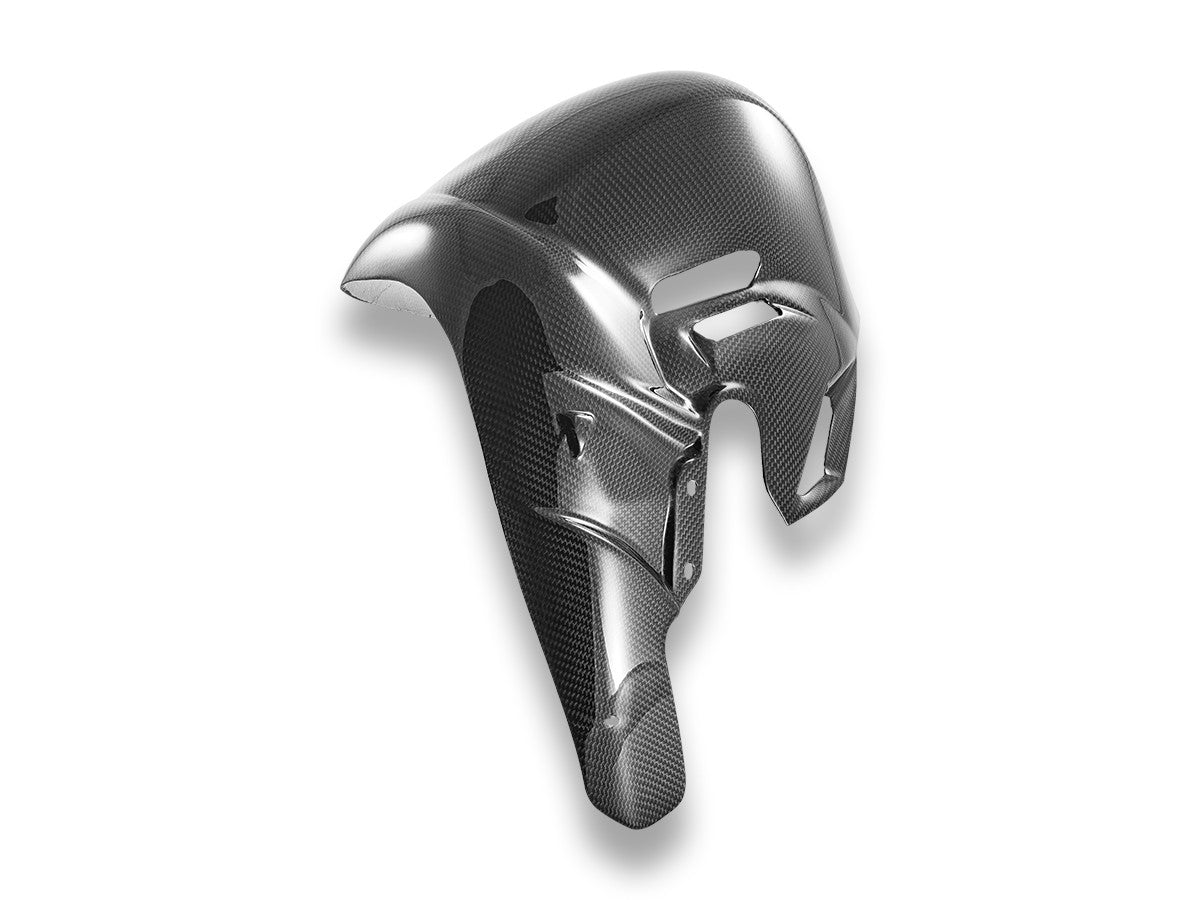 CRB230L - PANIGALE V4 (2025) GLOSSY CARBON EXHAUST COVER