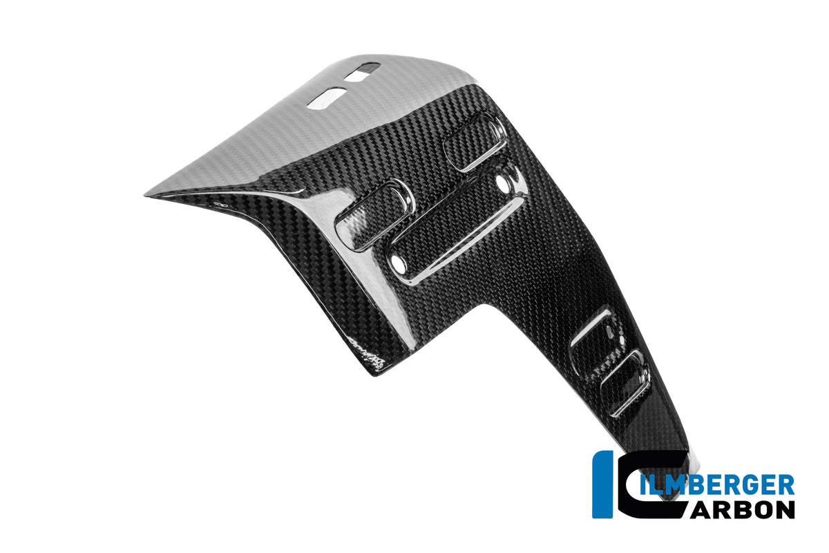 Ilmberger Carbon Radiator Cover Right BMW R 1300 GS Adventure - Gloss / Twill