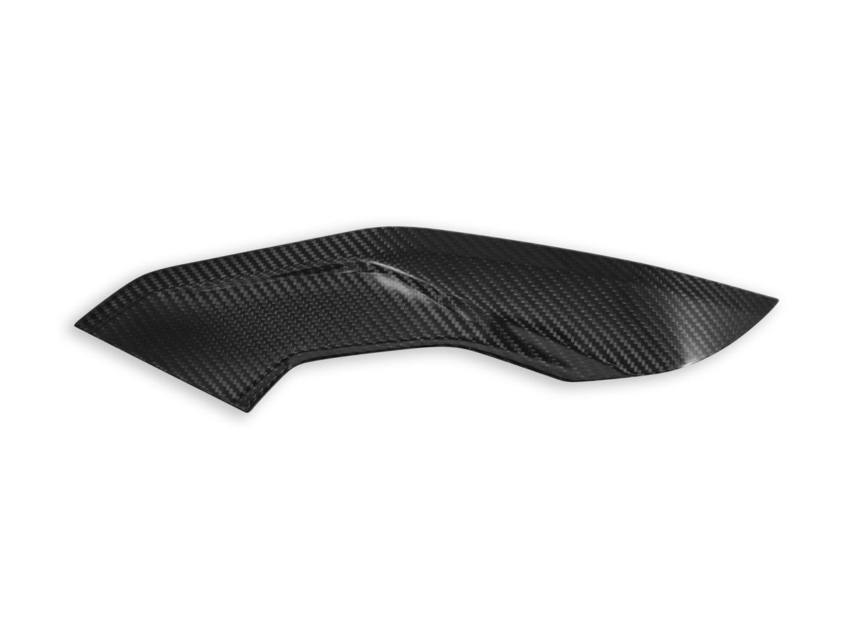 Ducabike DBK CRB139L - BMW S1000r Side Panels Polished Carbon