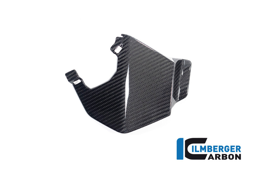 Ilmberger Carbon Upper Wing Left BMW M 1000 XR 2024