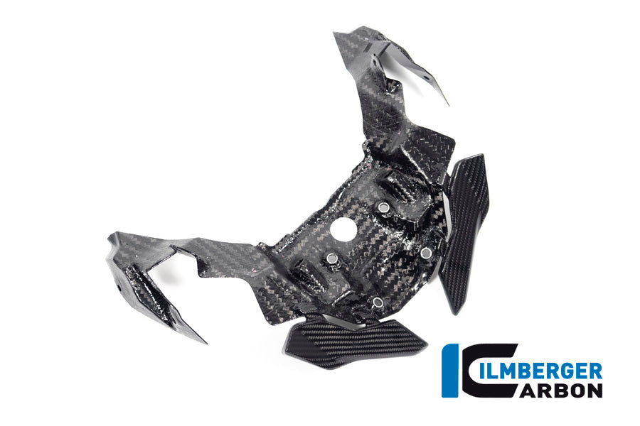 Ilmberger Carbon Front Beak Extension S 1000 XR From MY 2020