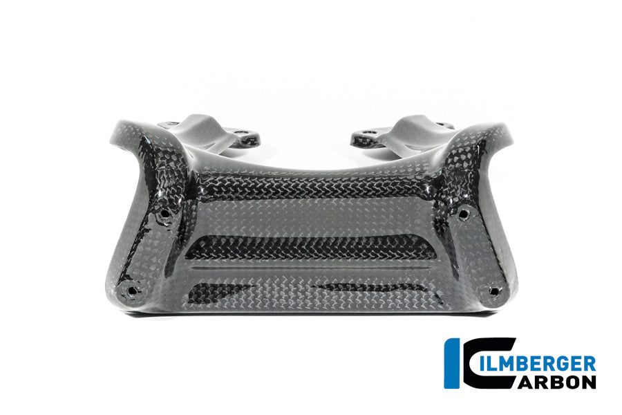 Ilmberger Carbon Windshield BMW R12 NineT - Gloss / Twill