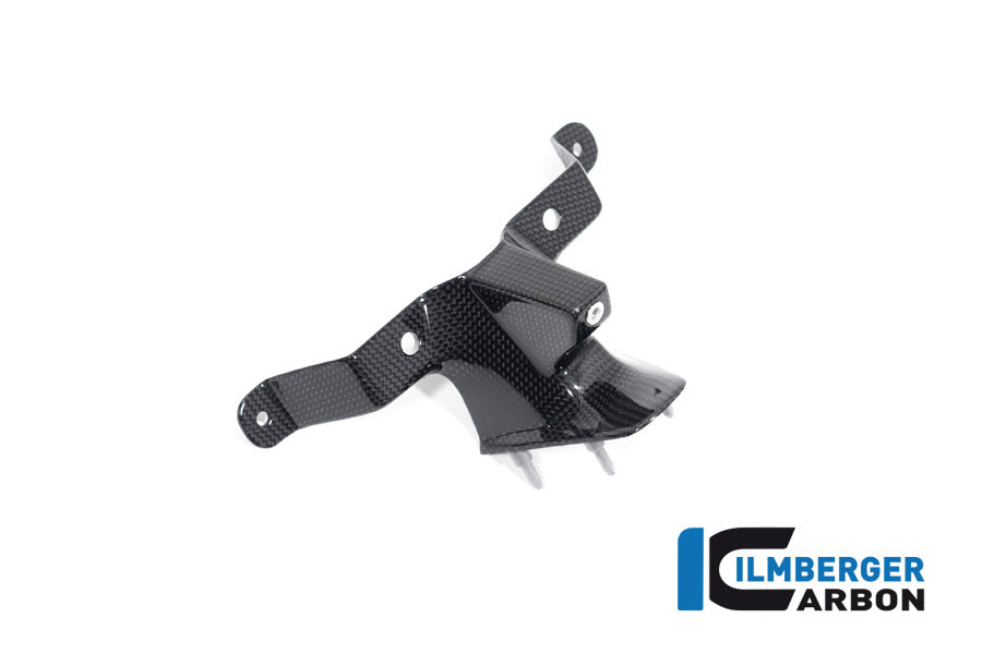Ilmberger Carbon Instrument Cover Windshield V4 Ducati Streetfighter