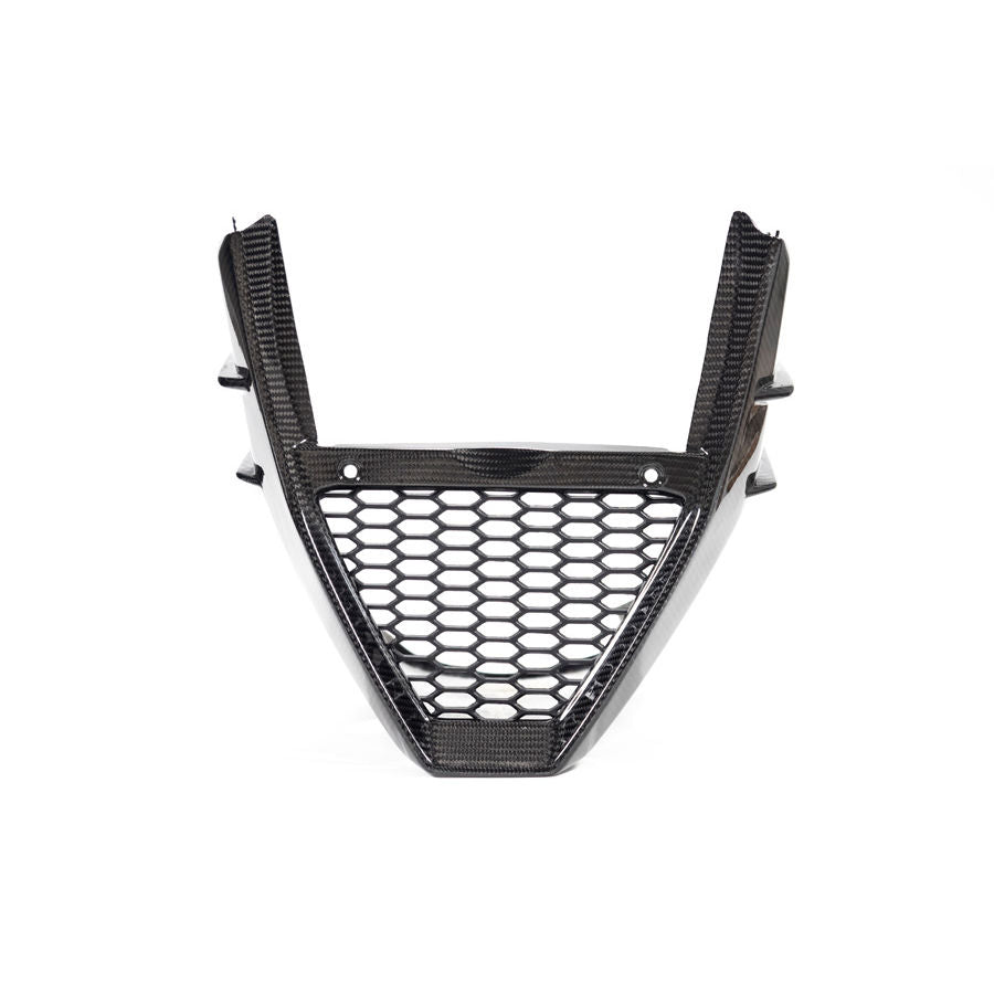 Ilmberger Carbon Fiber Bellypan Fairing Aprilia Tuono V4 1100 Factory