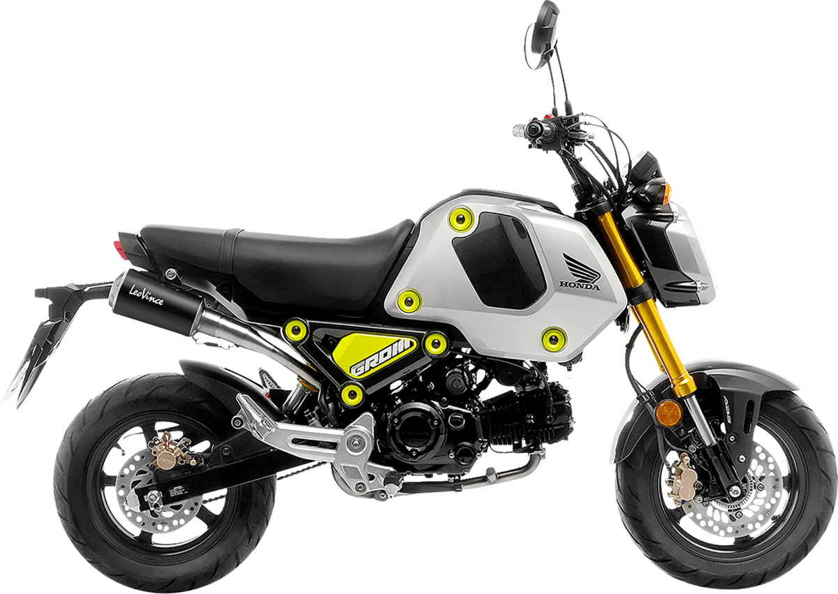 LeoVince LV-10 Exhaust System