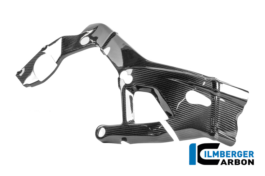 Ilmberger Carbon Rahmenschützer Rechts Carbon Glanz M 1000 RR Racing (Ab 2025)