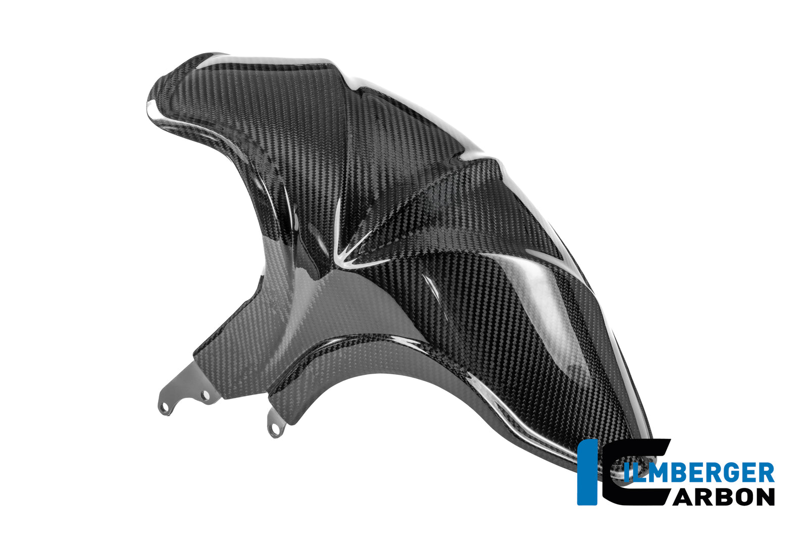 Ilmberger Carbon Rear Hugger BMW R 1300 R - Gloss / Twill