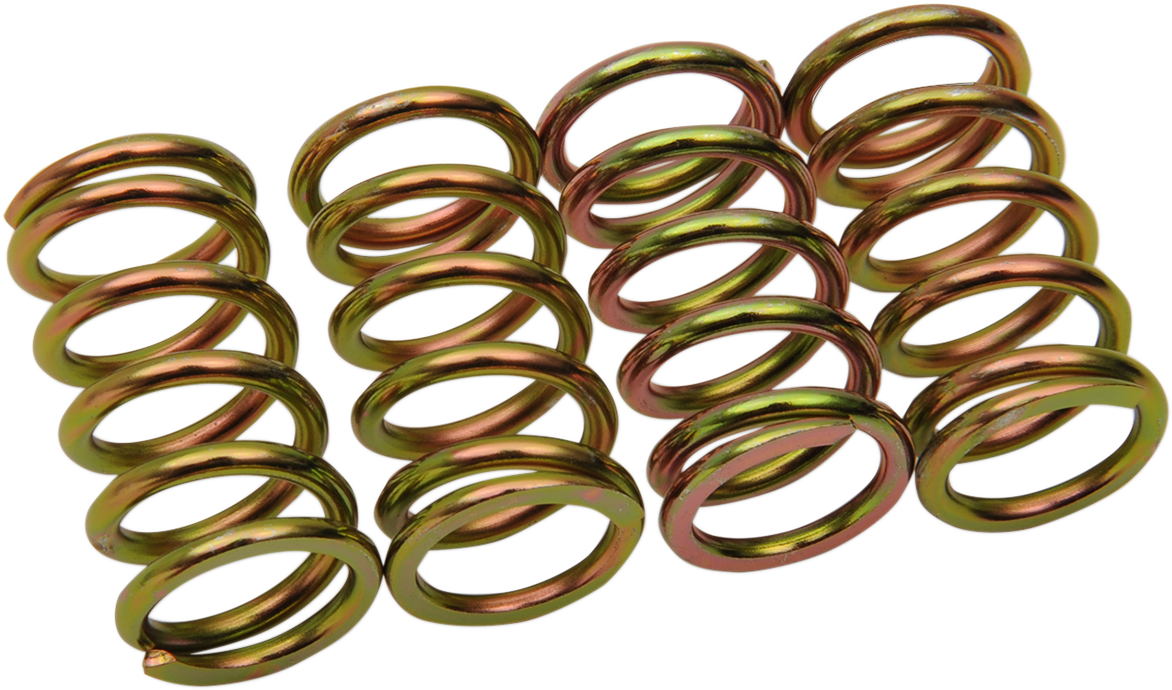 Barnett Clutch Springs - Honda/KTM/Suzuki