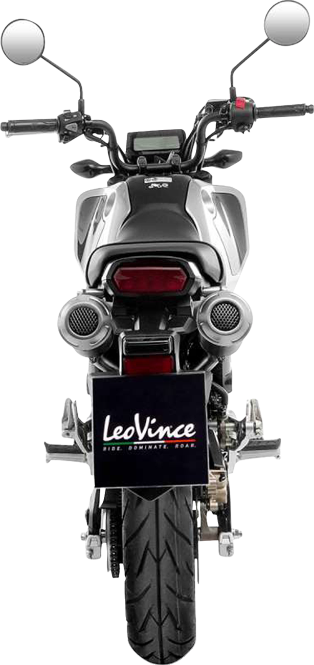 LeoVince LV-10 Exhaust System