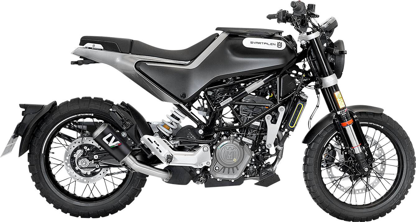 LeoVince LV-10 Slip-On Muffler - Carbon Fiber