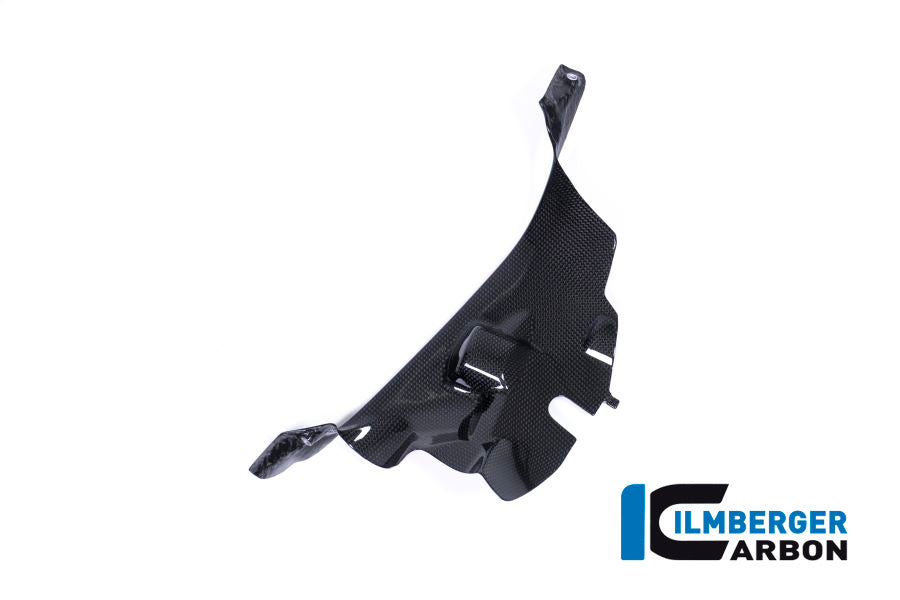Ilmberger Carbon Air Tube Cover Right Ducati Panigale V4 / V4 S