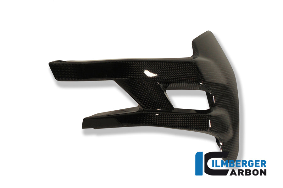 Ilmberger Carbon Rear Splash Guard - Gloss
