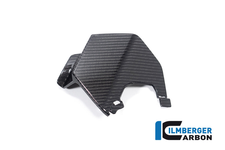 Ilmberger Carbon Upper Wing Left BMW M 1000 XR 2024