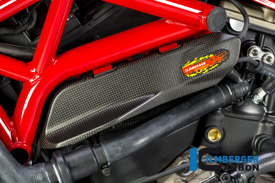 Ilmberger Carbon Cover Under The Frame Left - Matte