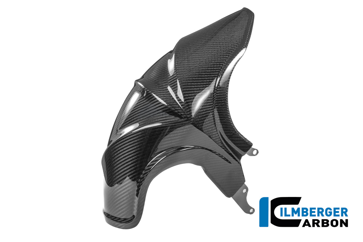 Ilmberger Carbon Rear Hugger BMW R 1300 R - Gloss / Twill